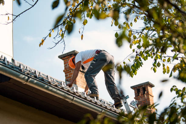 Quick and Trustworthy Emergency Roof Repair Services in Sinton, TX